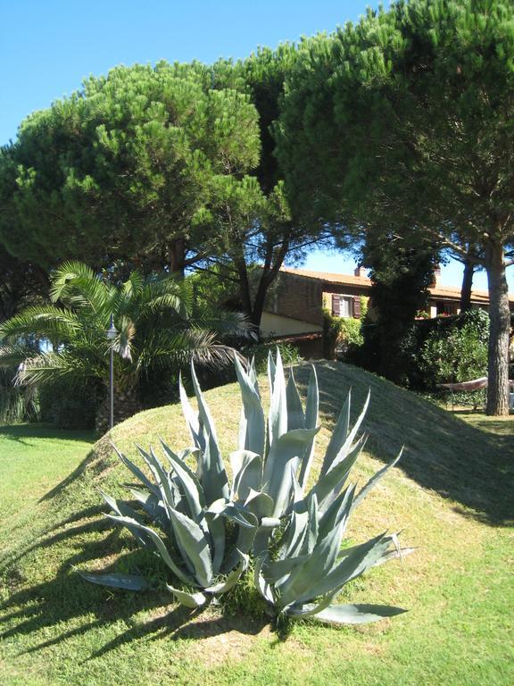 Casa Terra Rossa Apartman Fauglia Kültér fotó