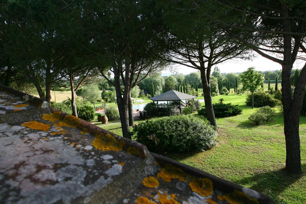Casa Terra Rossa Apartman Fauglia Kültér fotó